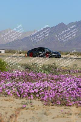 media/Jan-29-2023-PCA San Diego (Sun) [[aa0301ccc2]]/Yellow Group/Session 1 (Turn 15 Bloom)/